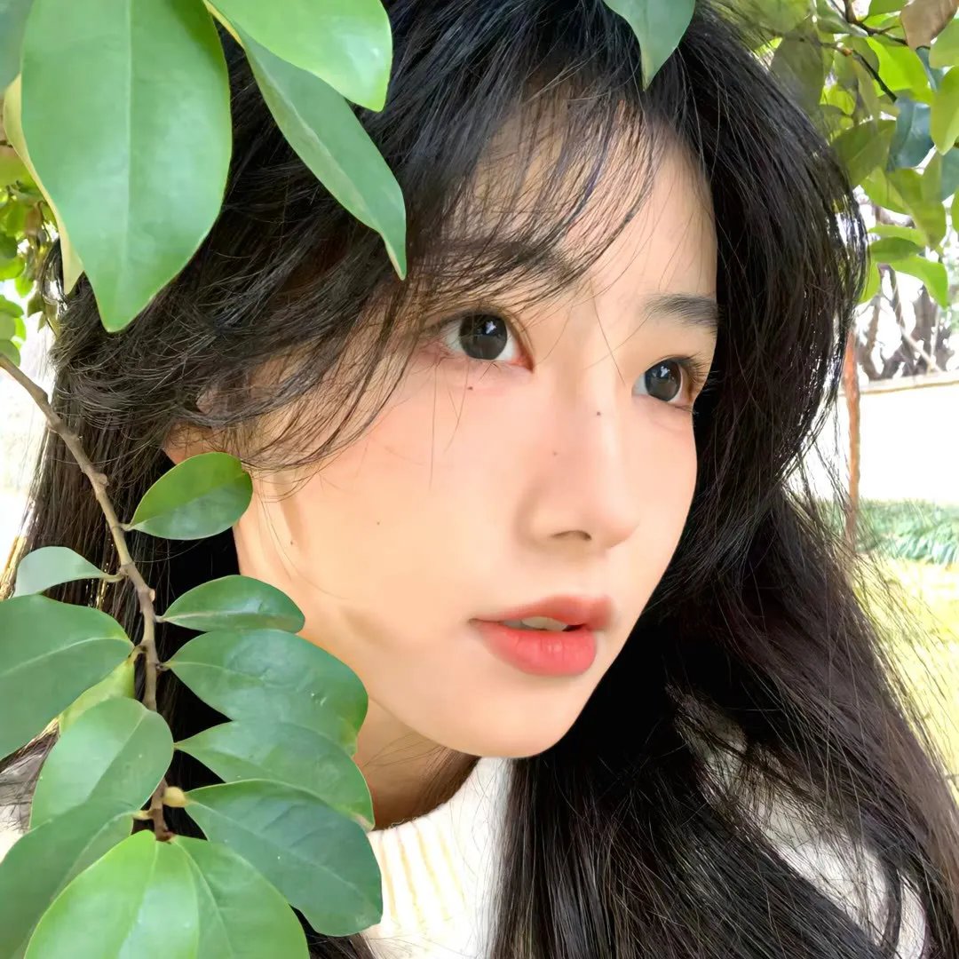 粉红学家